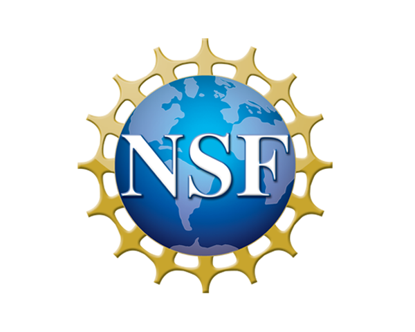 NSF logo